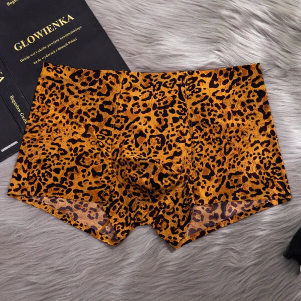 Leopard Print Sexy Underwear For Couple - Image 3