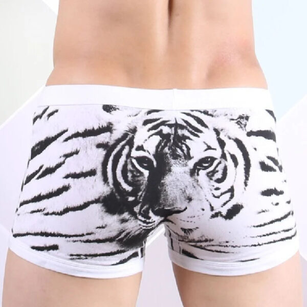 Tiger Print Underwear For Couple - Image 4